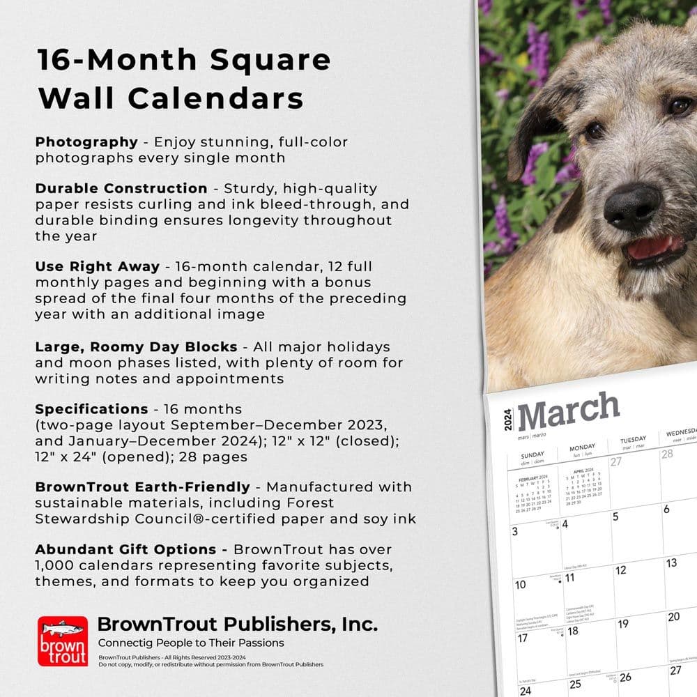 Irish Wolfhounds 2024 Wall Calendar Fourth Alternate Image width=&quot;1000&quot; height=&quot;1000&quot;