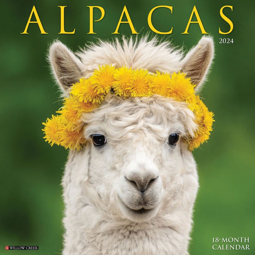 Alpacas 2024 Wall Calendar