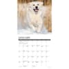 image Just Goldens 2025 Mini Wall Calendar