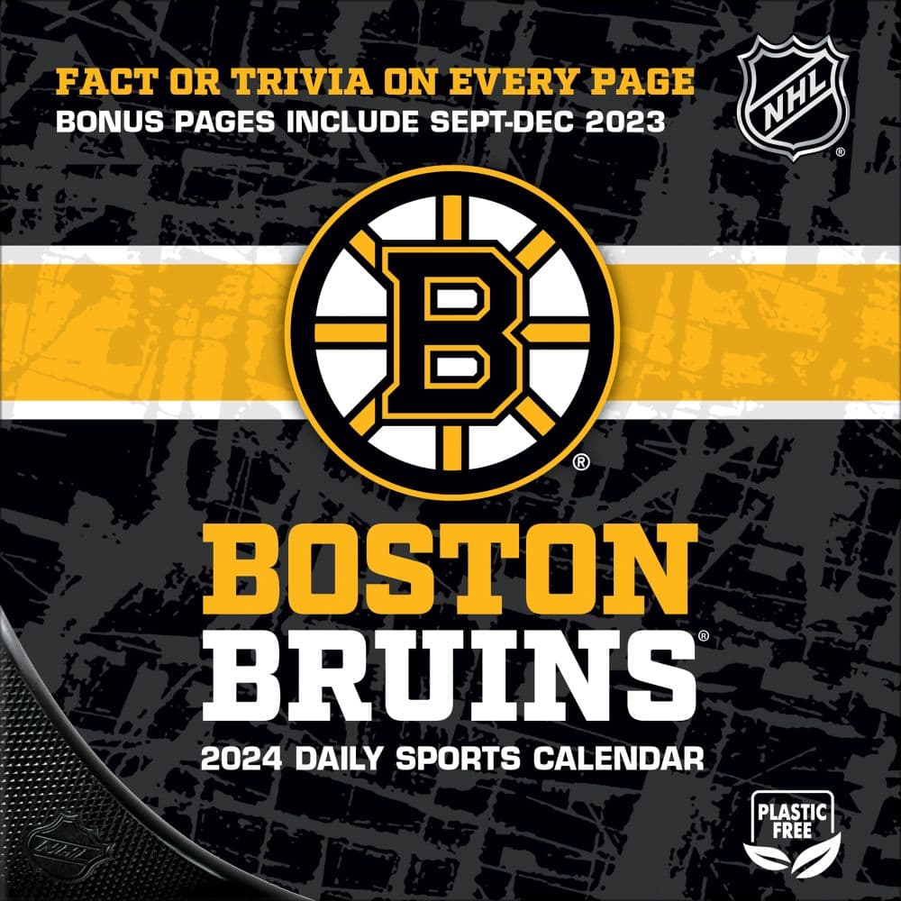 Boston Bruins 2025 Desk Calendar