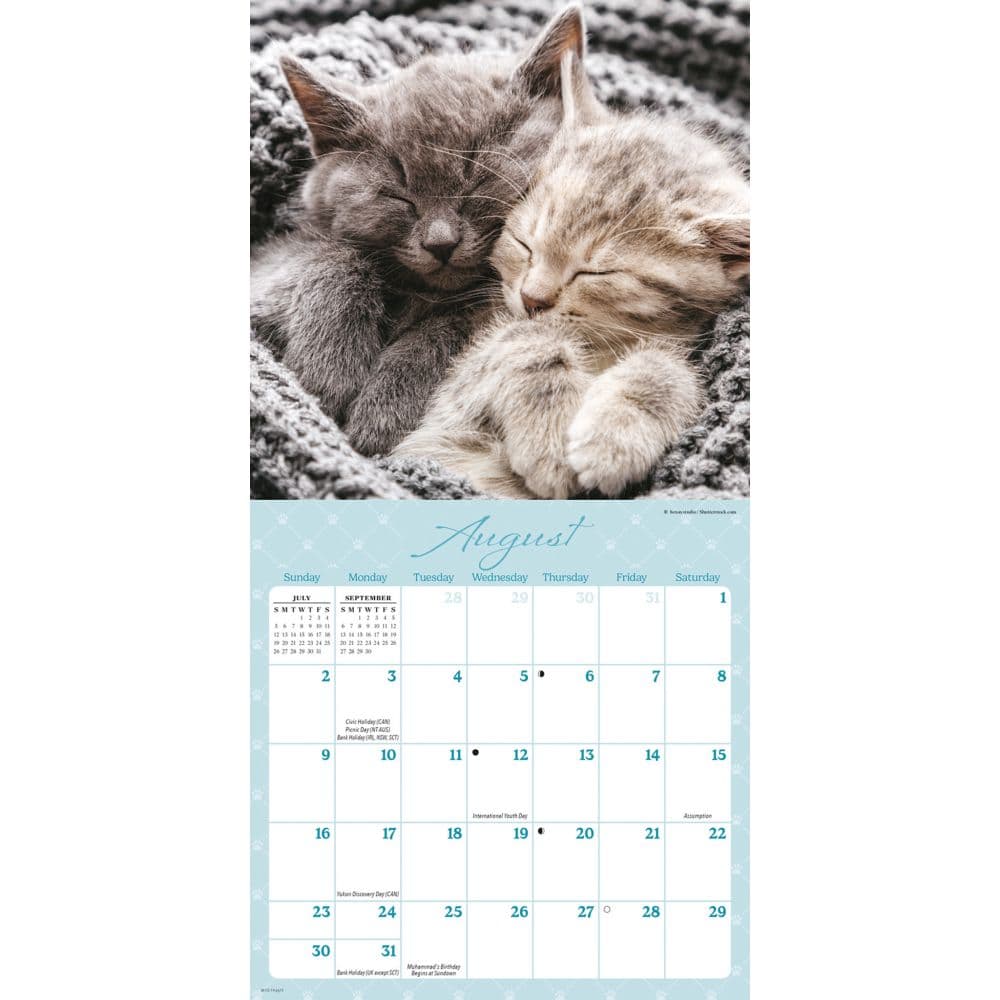 Naptime 2026 Mini Wall Calendar Third Alternate Image