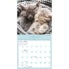 image Naptime 2026 Mini Wall Calendar Third Alternate Image