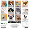 image Not So Pawsitive 2026 Wall Calendar