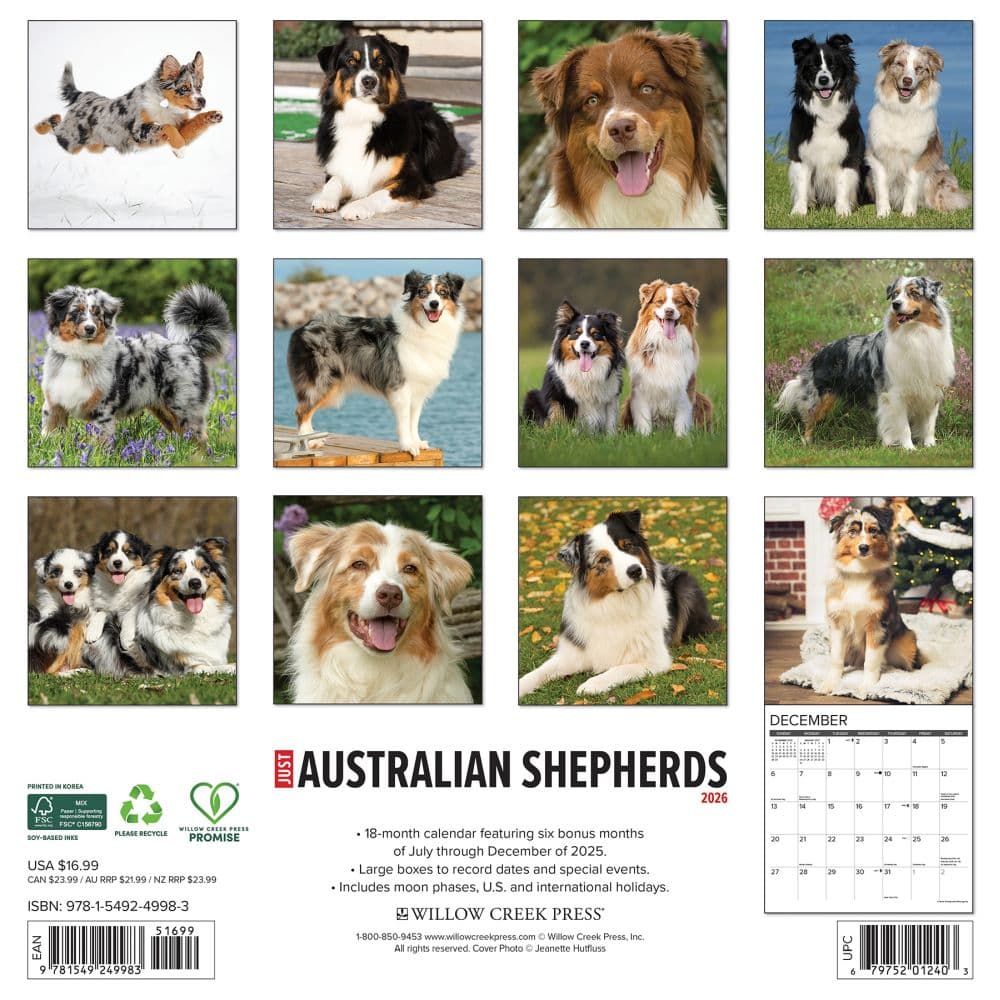 Australian Shepherds Just 2026 Wall Calendar First Alternate Image