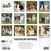 image Australian Shepherds Just 2026 Wall Calendar First Alternate Image