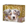 image Dogs 2025 Desk Calendar