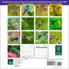 image Hummingbirds 2024 Mini Wall Calendar back