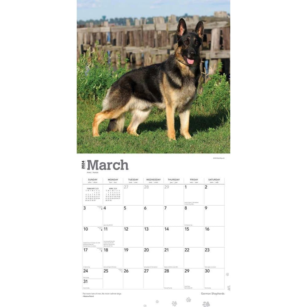 German Shepherds 2024 Wall Calendar