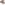 image Home for the Holidays Assorted Christmas Cards Sixth Alternate Image width=&quot;1000&quot; height=&quot;1000&quot;
