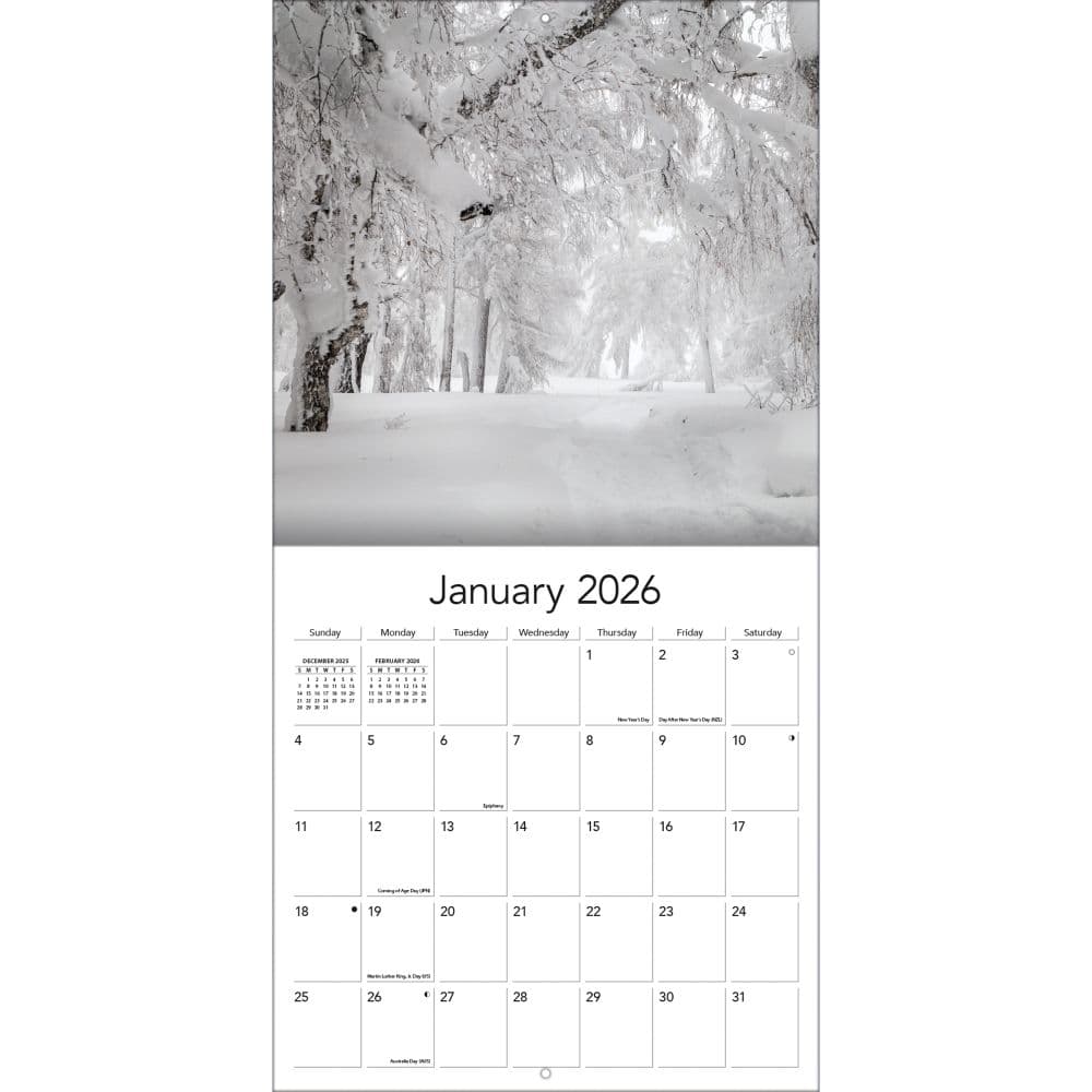 Wild and Wonderful Weather 2026 Wall Calendar_ALT3