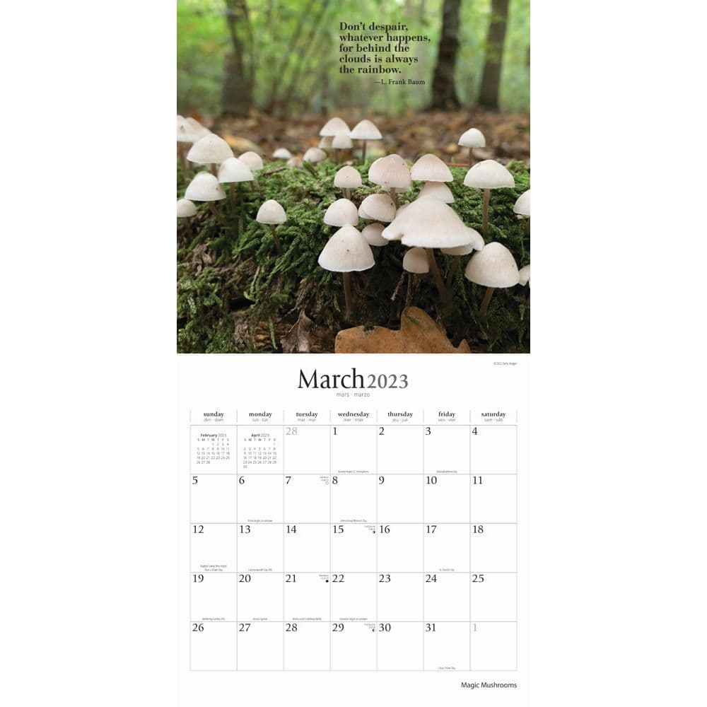 Magic Mushrooms 2023 Wall Calendar - Calendars.com