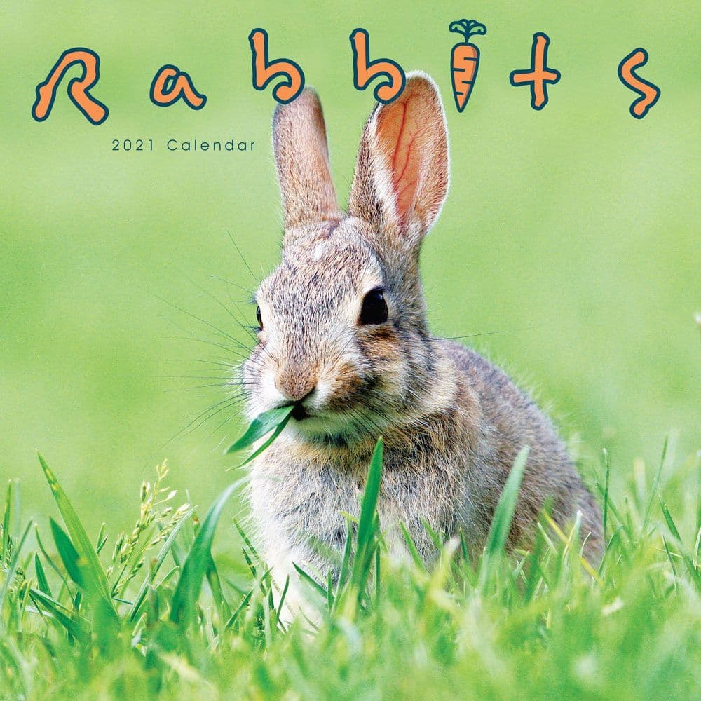Rabbits Wall Calendar