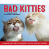 image Bad Kitties 2026 Desk Calendar Fourth Alternate Image