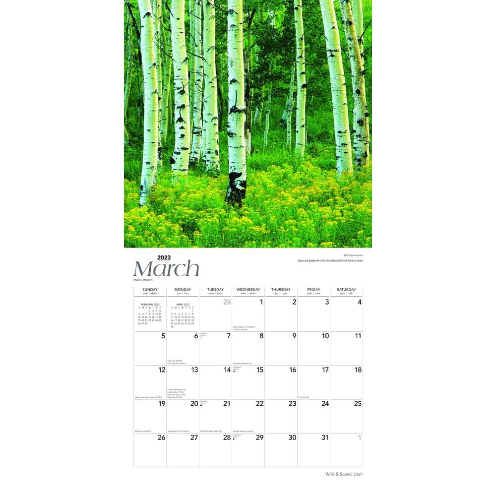 Utah Wild and Scenic 2023 Wall Calendar - Calendars.com