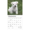 image West Highland Terrier Puppies 2025 Mini Wall Calendar