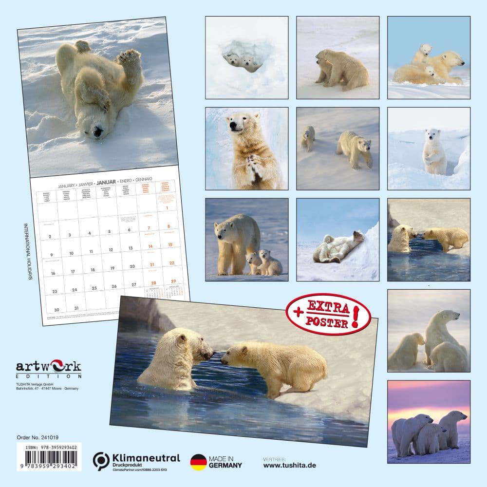 Polar Bears 2024 Wall Calendar (French) Alt1