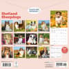 image Shetland Sheepdogs 2026 Wall Calendar First Alternate Image