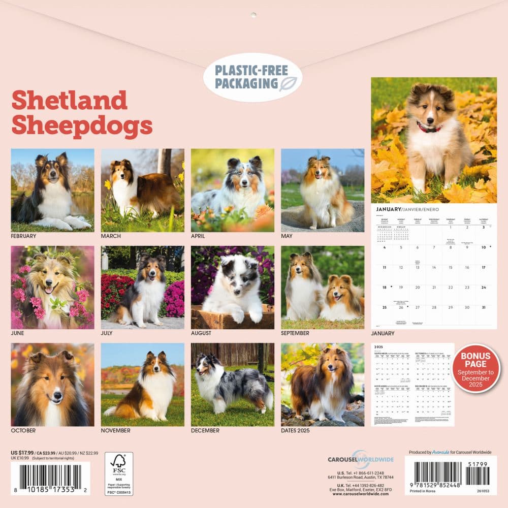 Shetland Sheepdogs 2026 Wall Calendar First Alternate Image