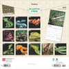 image Snakes 2025 Wall Calendar