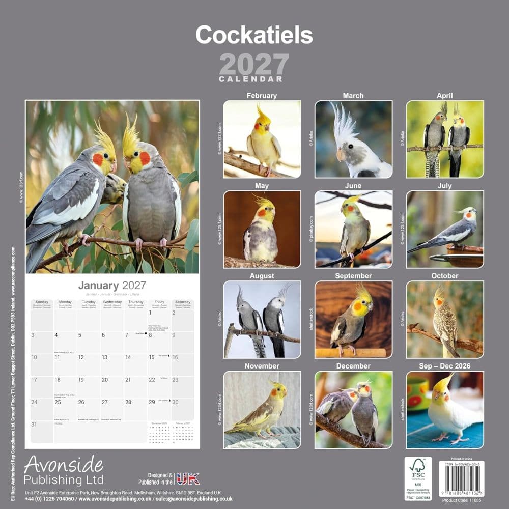 Cockatiels 2027 Wall Calendar First Alternate Image