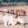 image Playful Puppies 2026 Mini Wall Calendar Main Image
