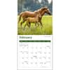 image Horses 2025 Mini Wall Calendar Second Alternate Image width="1000" height="1000"