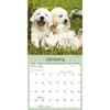 image Playful Puppies 2026 Mini Wall Calendar Second Alternate Image