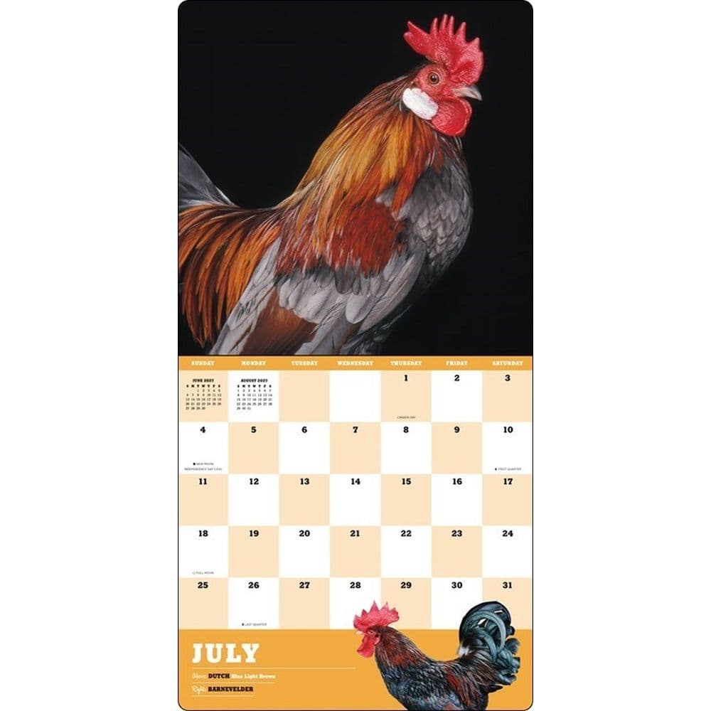 Extraordinary Chickens 2027 Wall Calendar Fifth Alternate Image
