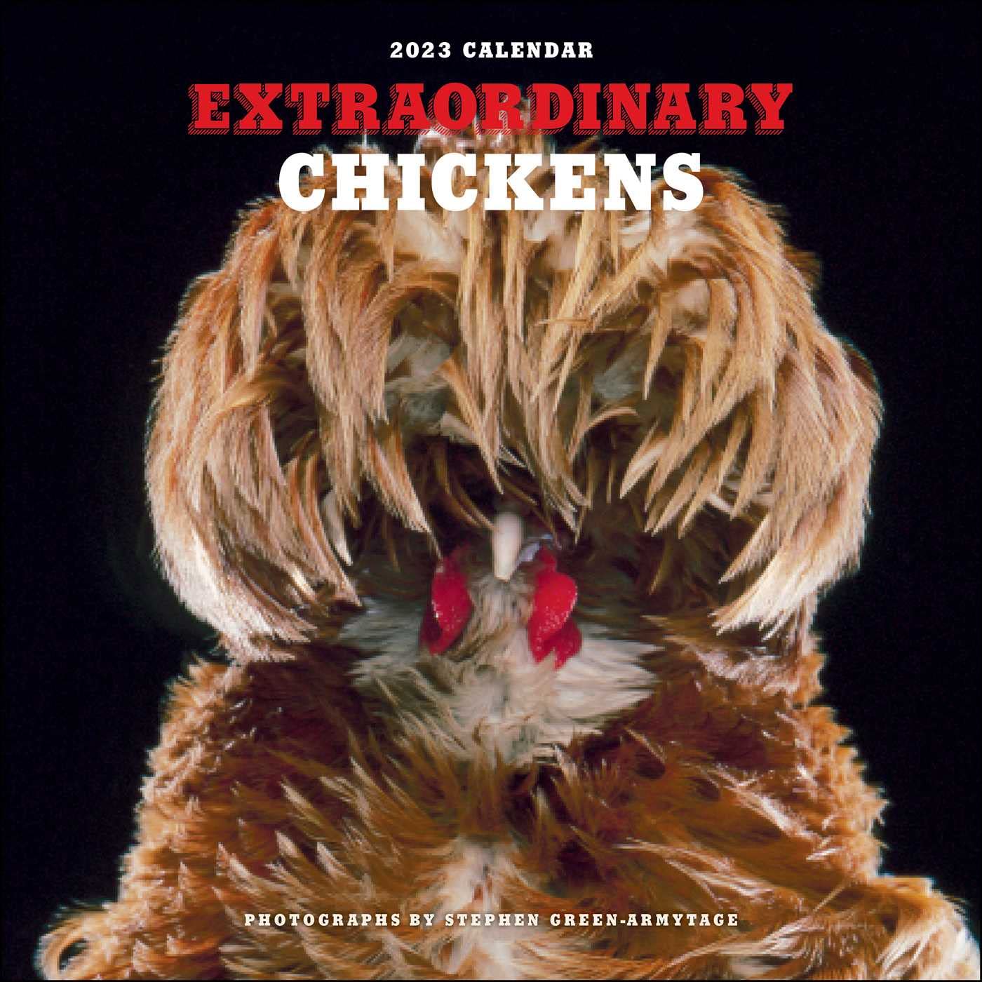 Abrams Extraordinary Chickens 2023 Wall Calendar