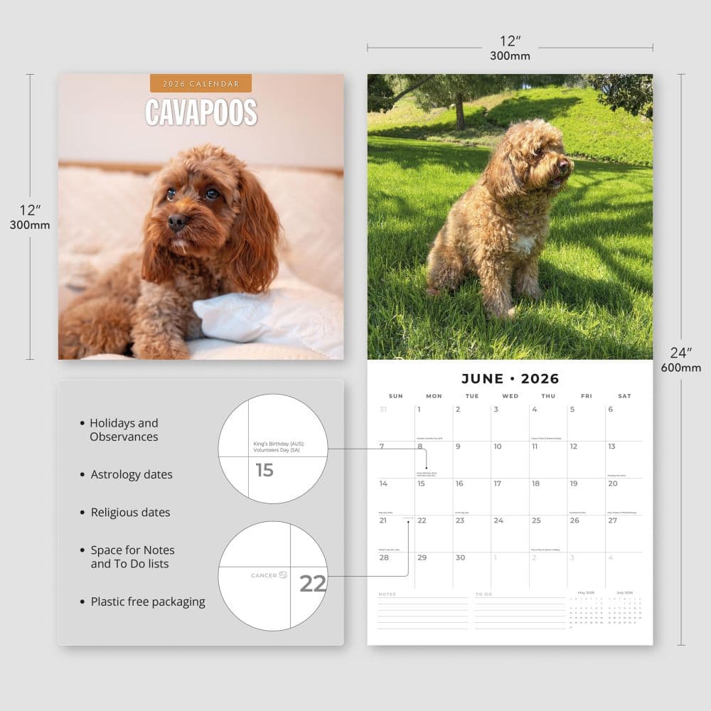 Cavapoos 2026 Wall Calendar Fourth Alternate Image