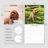 image Cavapoos 2026 Wall Calendar Fourth Alternate Image