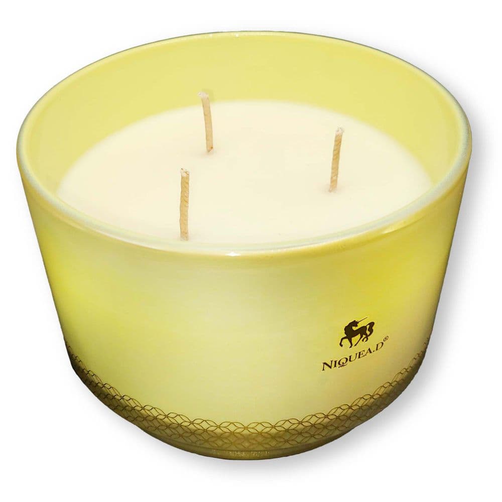 Summer Sunshine 16oz Footed Dish Candle Third Alternate Image width=&quot;1000&quot; height=&quot;1000&quot;