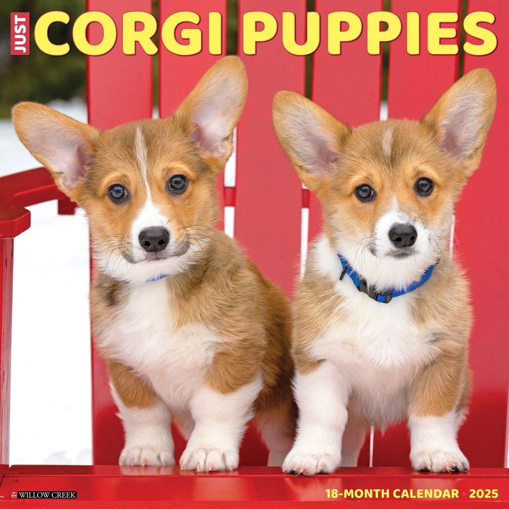 Just Corgi Puppies 2025 Wall Calendar Main Product Image width=&quot;1000&quot; height=&quot;1000&quot;