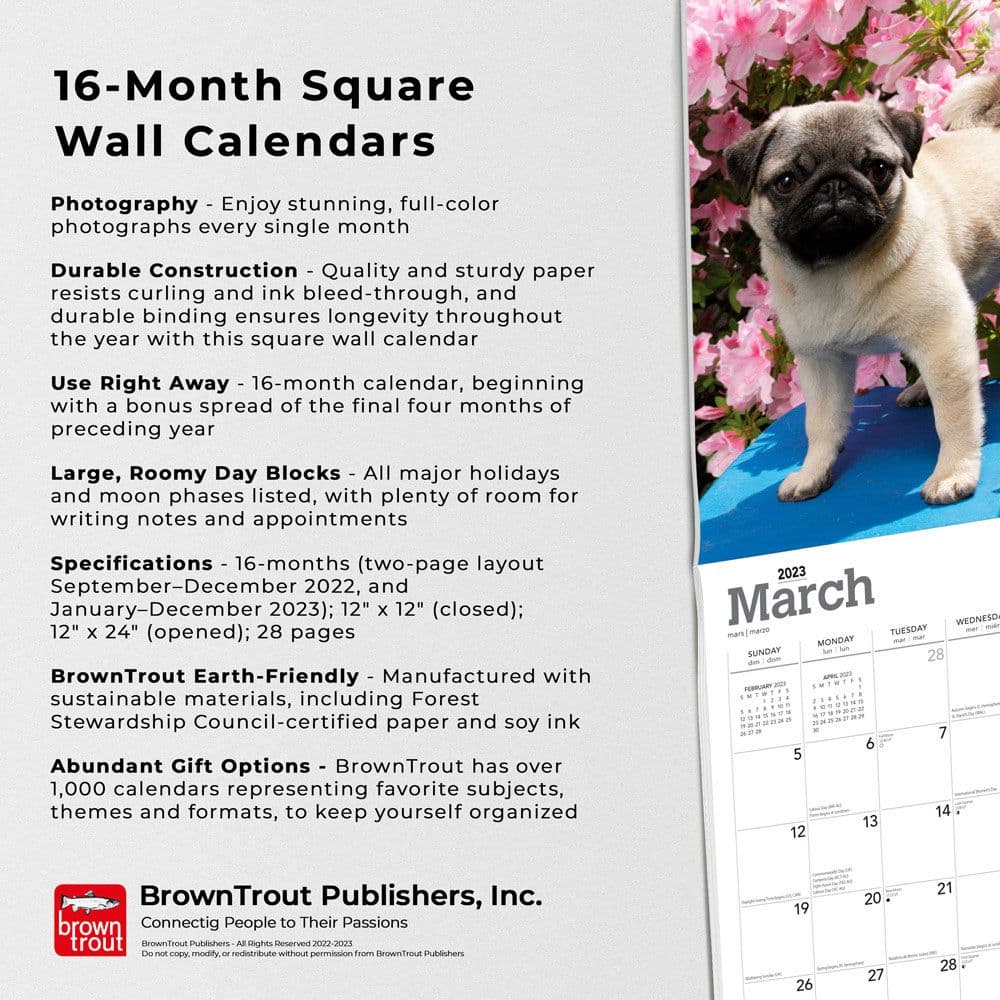 Pug Puppies 2023 Calendar - Calendars.com