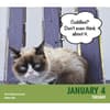 Grumpy Cat 2022 Desk Calendar - Calendars.com