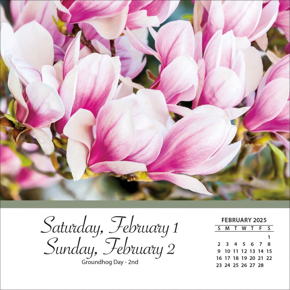 Flowers 2025 Desk Calendar Second Alternate Image