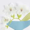 image Flowers in Bowl Thank You Card Fifth Alternate Image width=&quot;1000&quot; height=&quot;1000&quot;