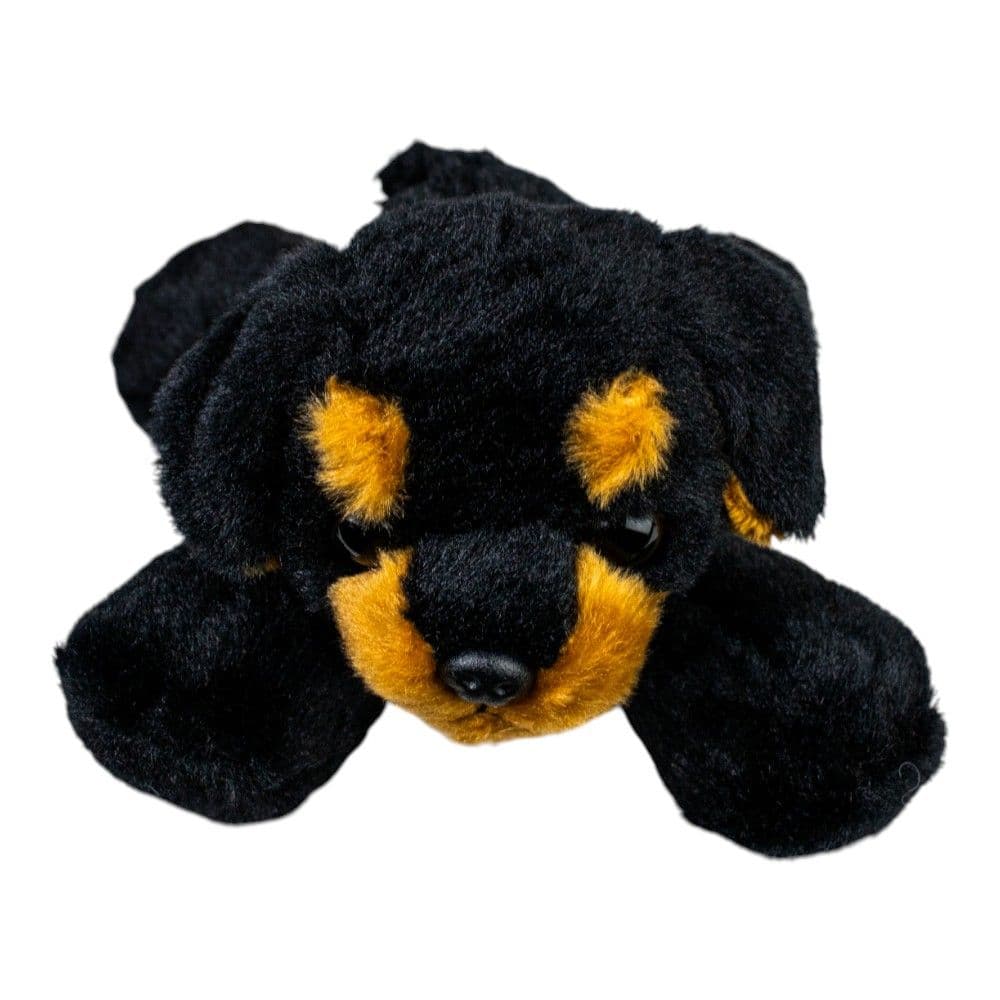 Raina Mini Flopsie First Alternate Image 