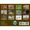 image Hunting Dogs and Upland Birds 2025 Wall Calendar Alt1