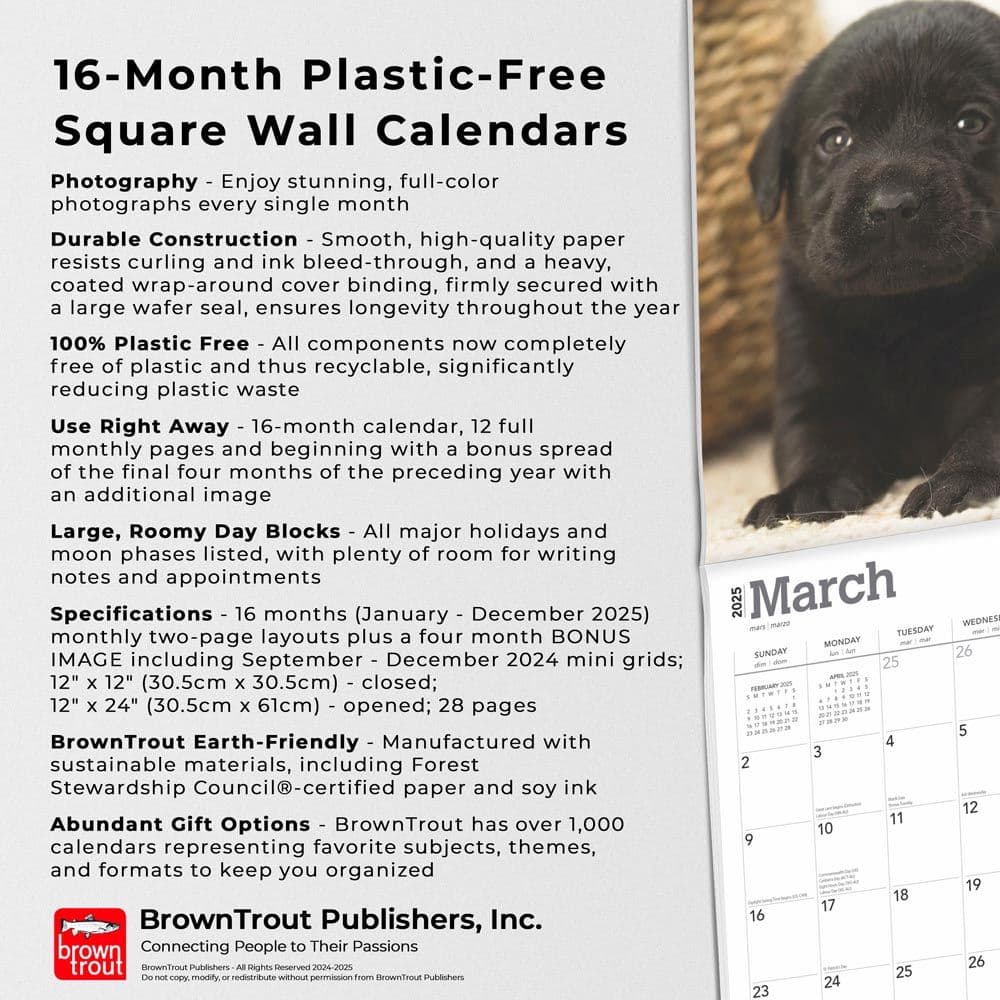 Black Lab Retriever Puppies 2025 Wall Calendar Fifth Alternate Image width=&quot;1000&quot; height=&quot;1000&quot;