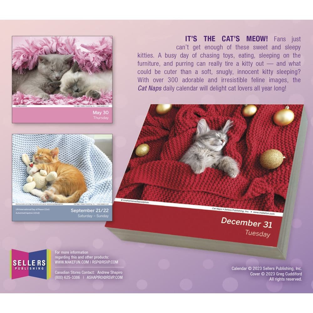 Cat Naps 2024 Desk Calendar