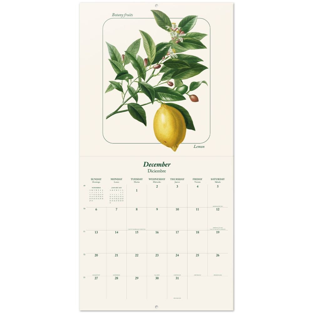 Botany Fruits 2026 Wall Calendar Second Alternate Image