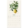image Botany Fruits 2026 Wall Calendar Second Alternate Image