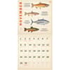 image Fishing Illustrations 2026 Wall Calendar Third alternate image