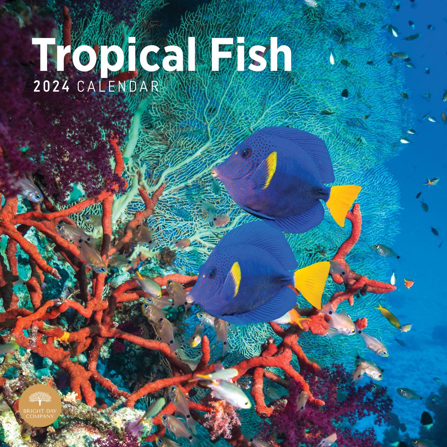 Tropical Fish 2024 Wall Calendar - Calendars.com