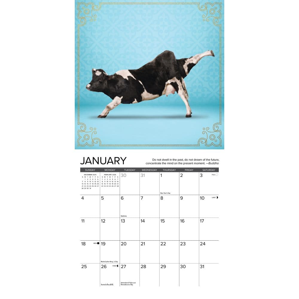 Cow Yoga 2026 Mini Wall Calendar Second Alternate Image
