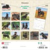 image Rottweilers 2025 Wall Calendar