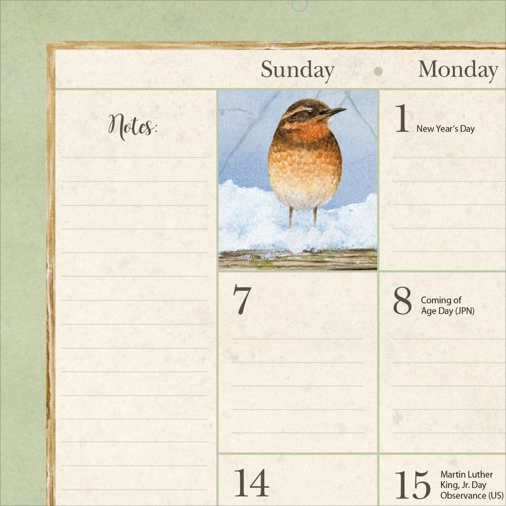 birds-in-the-garden-2024-desk-calendar-alt1