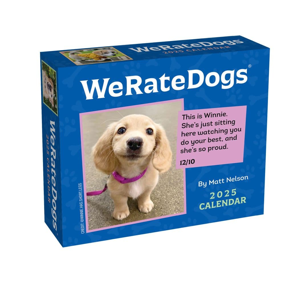We Rate Dogs 2025 Desk Calendar Main Product Image width=&quot;1000&quot; height=&quot;1000&quot;