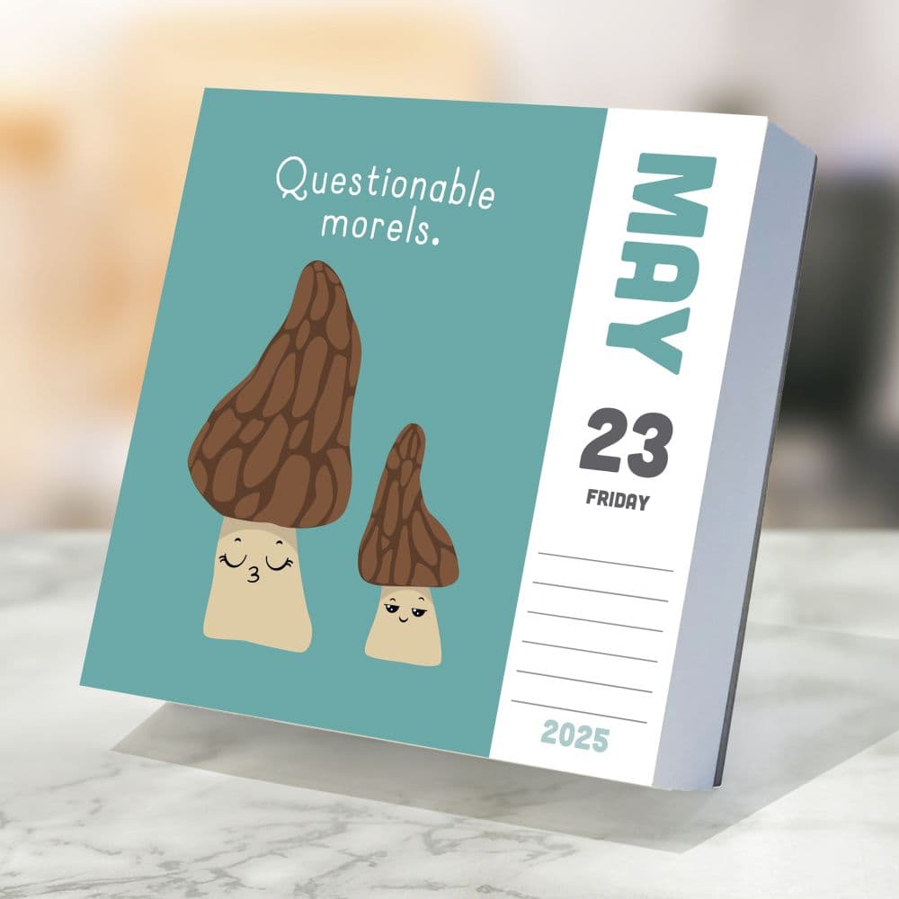 Puns of Fun 2025 Desk Calendar interior 1